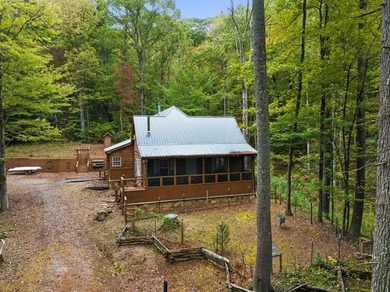 (private lake, pond, coastal) Home For Sale in Suches Georgia