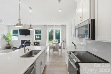Rare end-unit corner lot in Porters Row - this premium placement - photo 13