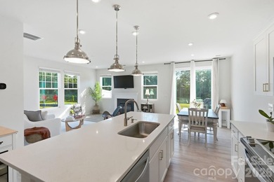 Rare end-unit corner lot in Porters Row - this premium placement - photo 14