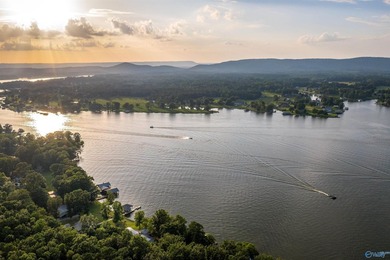 Dream lake home on Lake Neely Henry. This open concept three - photo 35