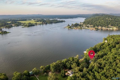 Dream lake home on Lake Neely Henry. This open concept three - photo 42