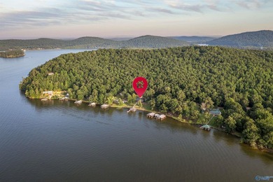 Dream lake home on Lake Neely Henry. This open concept three - photo 43