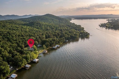 Dream lake home on Lake Neely Henry. This open concept three - photo 44