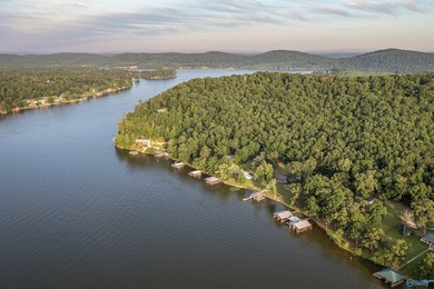 Dream lake home on Lake Neely Henry. This open concept three - photo 46