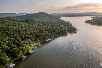 Dream lake home on Lake Neely Henry. This open concept three - photo 47