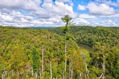 Lake Acreage For Sale in Ellijay, Georgia