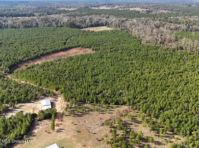 188 breathtaking acres of land perfect for hunters, nature - photo 28