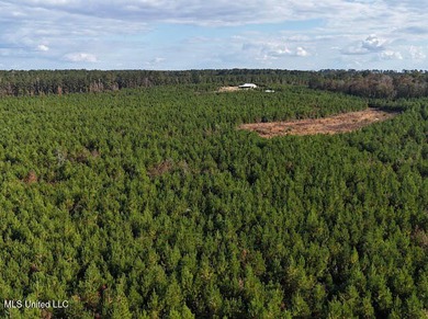 188 breathtaking acres of land perfect for hunters, nature - photo 30