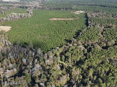 188 breathtaking acres of land perfect for hunters, nature - photo 33
