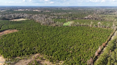 188 breathtaking acres of land perfect for hunters, nature - photo 35