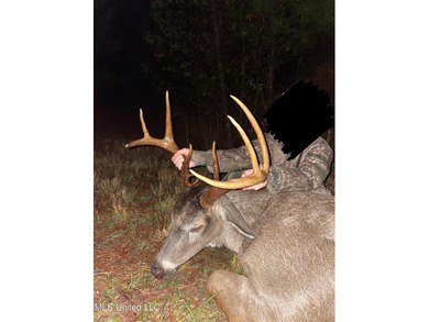 188 breathtaking acres of land perfect for hunters, nature - photo 36