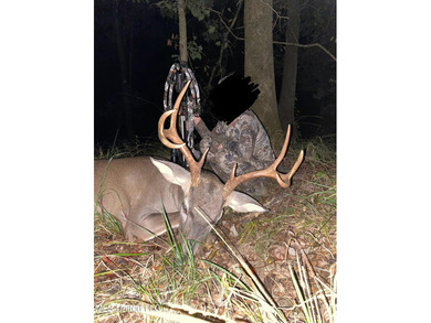 188 breathtaking acres of land perfect for hunters, nature - photo 37