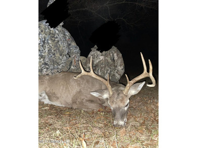 188 breathtaking acres of land perfect for hunters, nature - photo 38