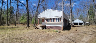 Big Bass Lake - Lake County Home Sale Pending in Irons Michigan