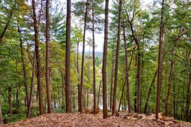 Lake Acreage For Sale in Ellijay, Georgia