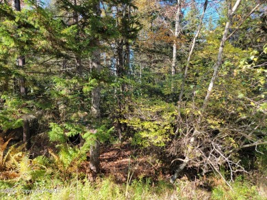 Larsen Lake Lot For Sale in Gouldsboro Pennsylvania