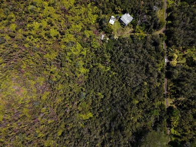 3 acres located in untouched Hawaiian Acres subdivision. Build - photo 3