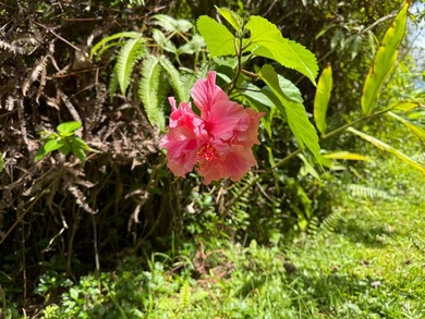 3 acres located in untouched Hawaiian Acres subdivision. Build - photo 4