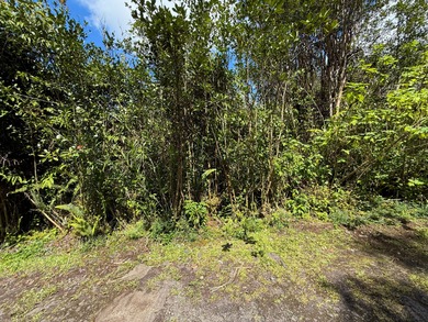 3 acres located in untouched Hawaiian Acres subdivision. Build - photo 8