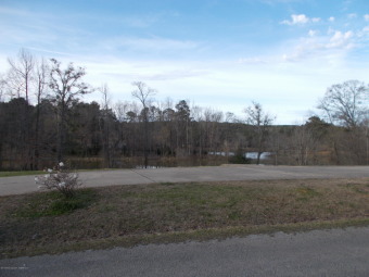 Lake Lot Off Market in Parrish, Alabama