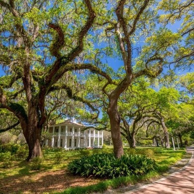Welcome to 254 Eden Drive in Point Washington - a hidden gem - photo 13