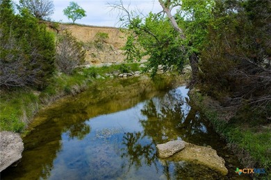472 acres located just 8.6 miles northeast of Lometa and 20 - photo 18