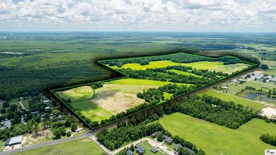 Prime real estate in Richland Parish on Bayou Macon! Located - photo 1