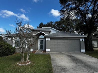 (private lake, pond, creek) Home For Sale in Brandon Florida