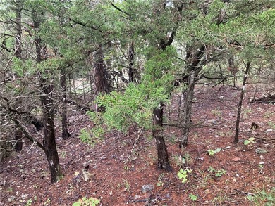 Multifamily Land for Sale in Holiday Island AR offering rare R-3 - photo 3