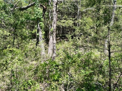 Multifamily Land for Sale in Holiday Island AR offering rare R-3 - photo 5