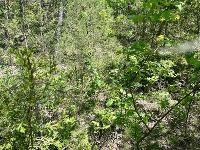Multifamily Land for Sale in Holiday Island AR offering rare R-3 - photo 6