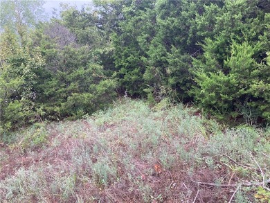 Multifamily Land for Sale in Holiday Island AR offering rare R-3 - photo 7