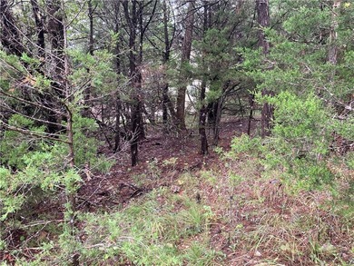 Multifamily Land for Sale in Holiday Island AR offering rare R-3 - photo 8