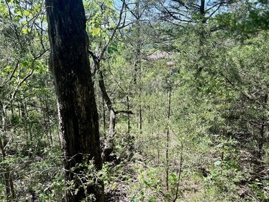 Multifamily Land for Sale in Holiday Island AR offering rare R-3 - photo 10