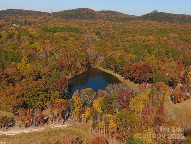 (private lake, pond, coastal) Acreage For Sale in Kings Mountain North Carolina