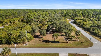 Port Charlotte Waterway Area Lot Sale Pending in Port Charlotte Florida