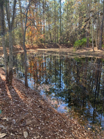 (private lake, pond, creek) Lot Sale Pending in Jesup Georgia