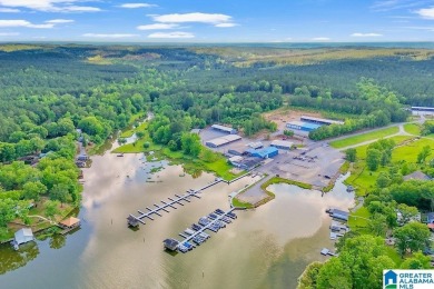 Lake Home For Sale in Columbiana, Alabama