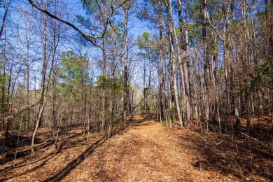 Lake Acreage For Sale in Hamilton, Georgia