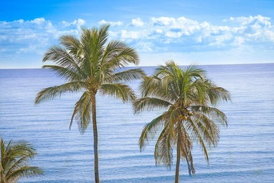 Experience the ultimate in oceanfront luxury with this rarely - photo 36