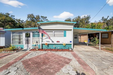 Lake Harris Home For Sale in Tavares Florida