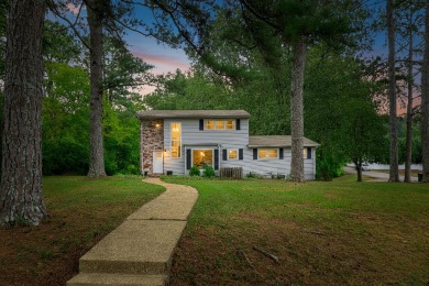 Chickamauga Lake Home For Sale in Chattanooga Tennessee
