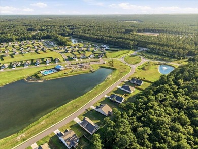 Water views, oversized homesites, minutes from Mount Pleasant - photo 8
