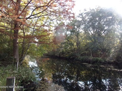 Lake Lot For Sale in Palatka, Florida