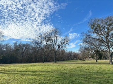 Lake Lot For Sale in Corsicana, Texas