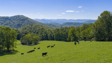 Mountain Paradise Awaits: 210+ Unrestricted Acres with Endless - photo 12