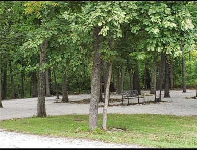 Rare opportunity to own four side-by-side lots totaling - photo 13