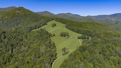 Mountain Paradise Awaits: 210+ Unrestricted Acres with Endless - photo 20