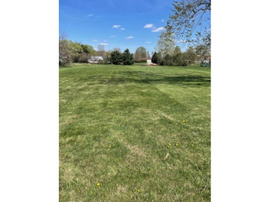 Marble Lake Lot For Sale in Quincy Michigan