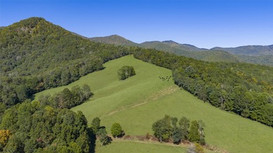Mountain Paradise Awaits: 210+ Unrestricted Acres with Endless - photo 22